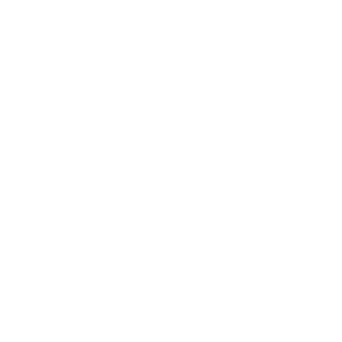 DSA Logo